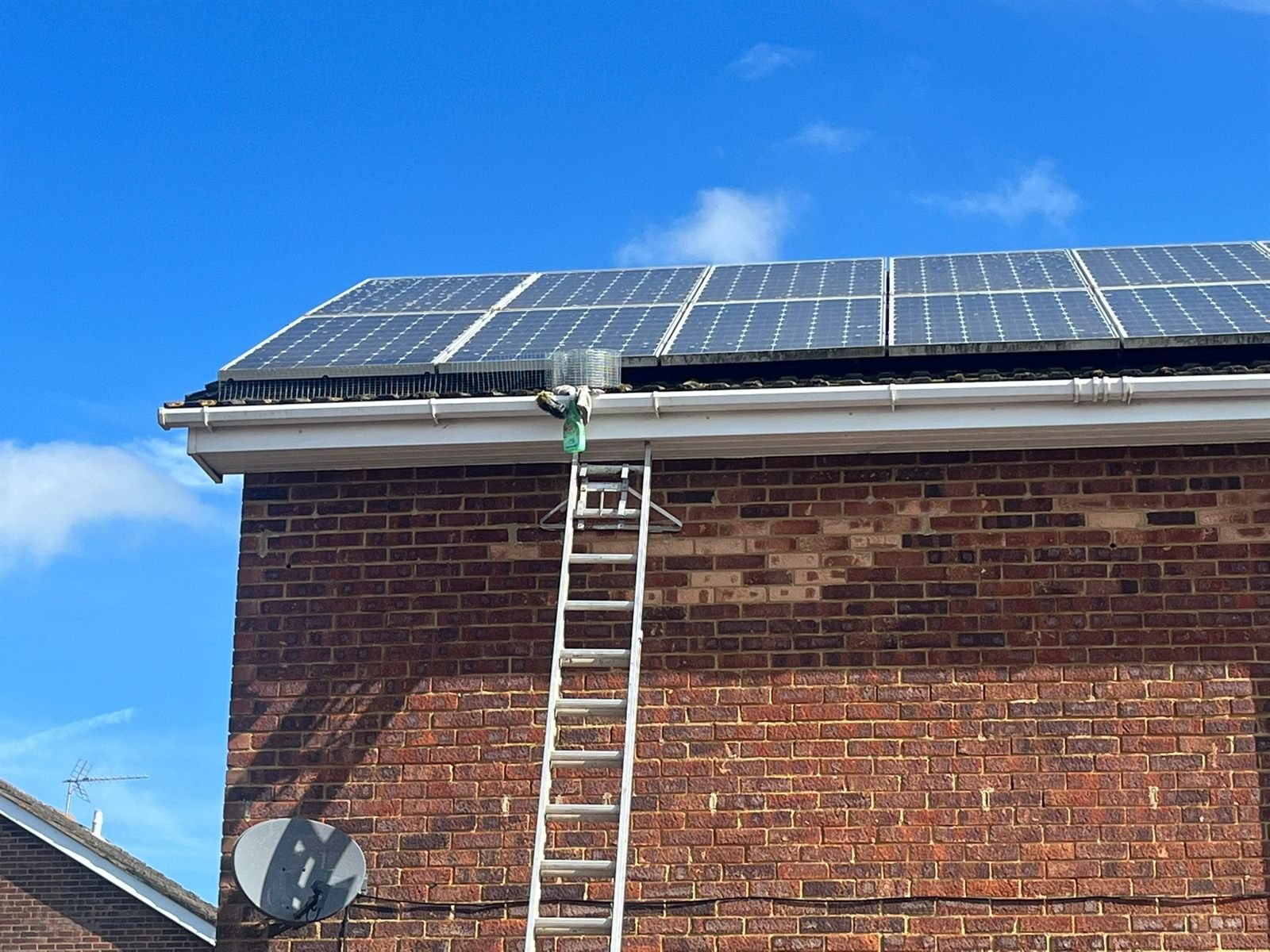 solar panel cleaning